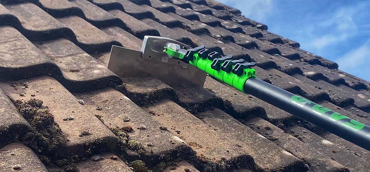 Roof cleaning